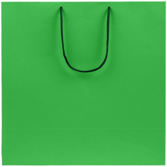 Пакет бумажный Porta, большой, зеленый