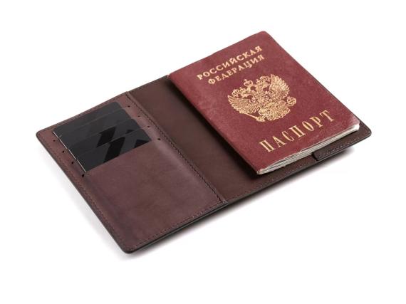 Обложка для паспорта «Нит»