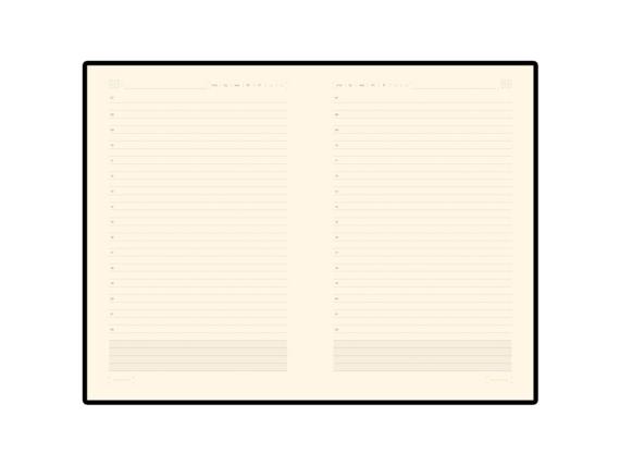 Ежедневник недатированный А5 «Zenith»