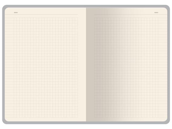 Бизнес-тетрадь А5 «Pragmatic Contrast»