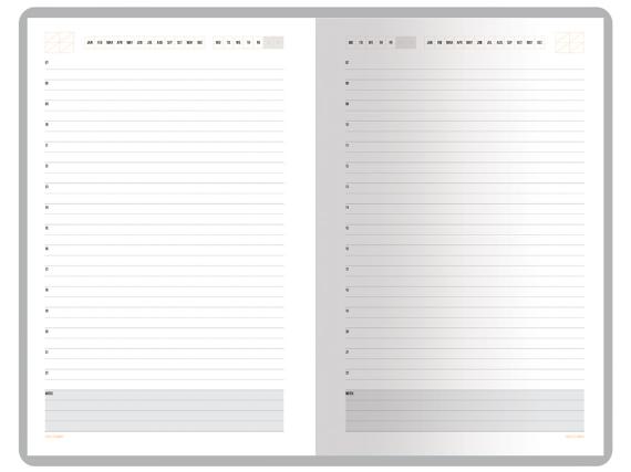 Ежедневник недатированный А5 «Mercury»