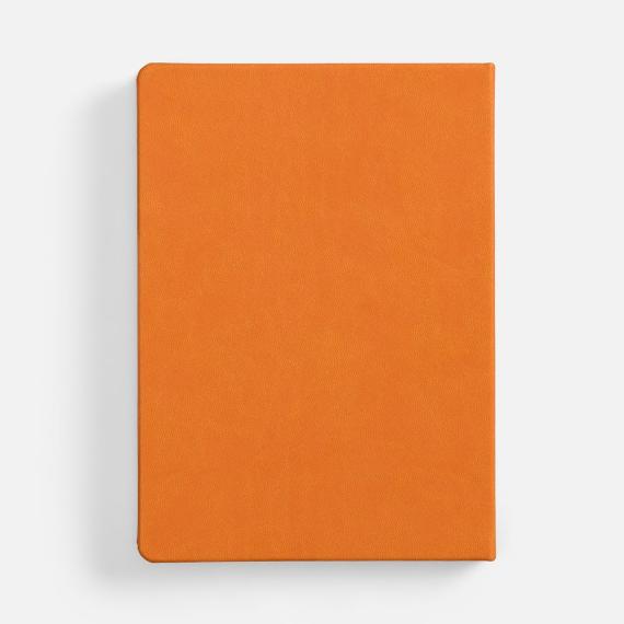 Ежедневник Basis, датированный, оранжевый